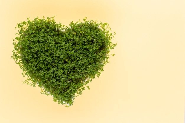 We 💚 staying heart healthy! 

#Microgreens contain many #nutrients to keep you happy and fit! 

Geaux #local and order HERE: westdomenursery.com 💜💛⚜