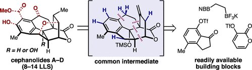 Congratulations to team cephanolide (Max, Goh, and Alina) on the publication of their syntheses of cephanolides A–D in @J_A_C_S! 
pubs.acs.org/doi/pdf/10.102…