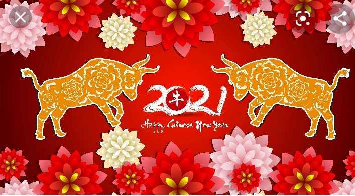 Happy Chinese New Year.