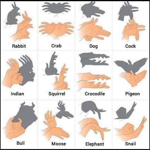 How to make shadow animals .. #HandShadow #LearnEnglish