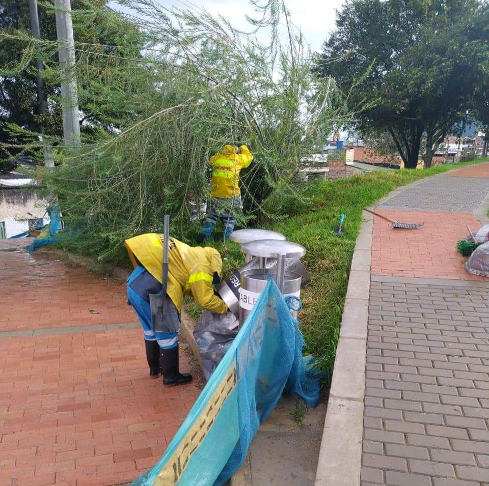 calvo_sur's tweet photo. Gracias @Promoambiental_ por la actividad de limpieza especial y poda de pasto en el parque del barrio #CalvoSur #YoSoyCalvoSur https://t.co/2mGmUw66gT