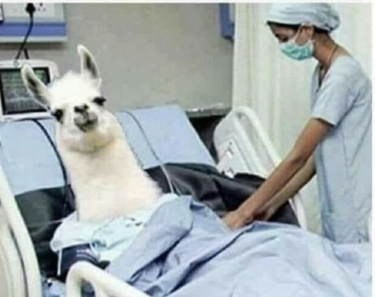 FierroPeronista's tweet photo. Estamos a dos dias del día de los enamorados. No se olviden de  mantener viva la llama 😂 https://t.co/9T4IhGiCGH