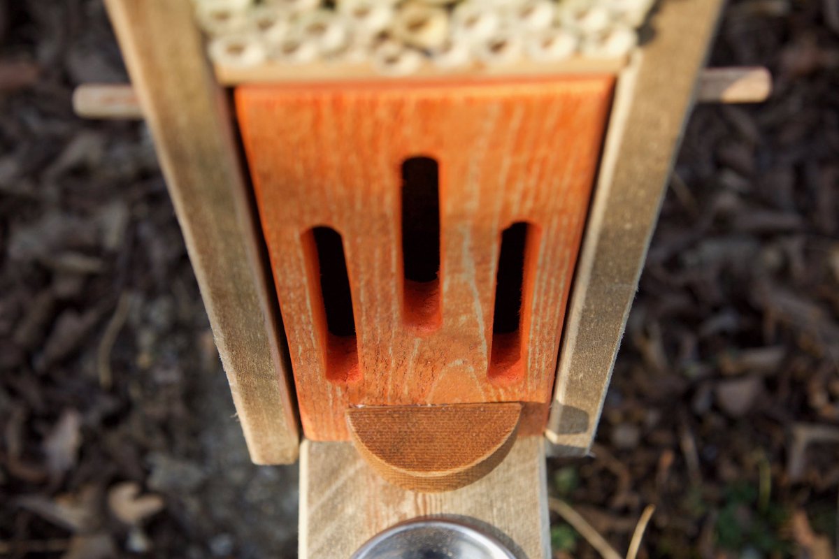 Butterfly and bee station #bees #butterflies #gardeningforwildlife  #nature