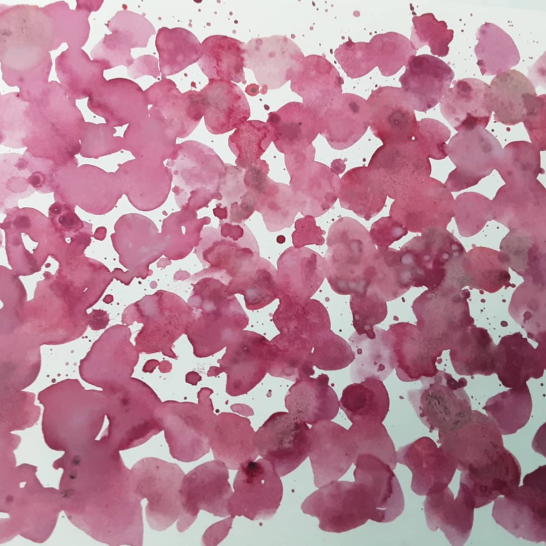 aaaddyyy's tweet photo. Siempre una gran aventura descubrir la gran gama de colores de este #pigmentonatural ancestral, también llamado #rojomexicano, #granacochinilla.
Los frascos contienen lacas de cochinilla para la obtención de colores determinados, como el #Camopalli, que se refiere al morado. https://t.co/sR9yrxQ3h6