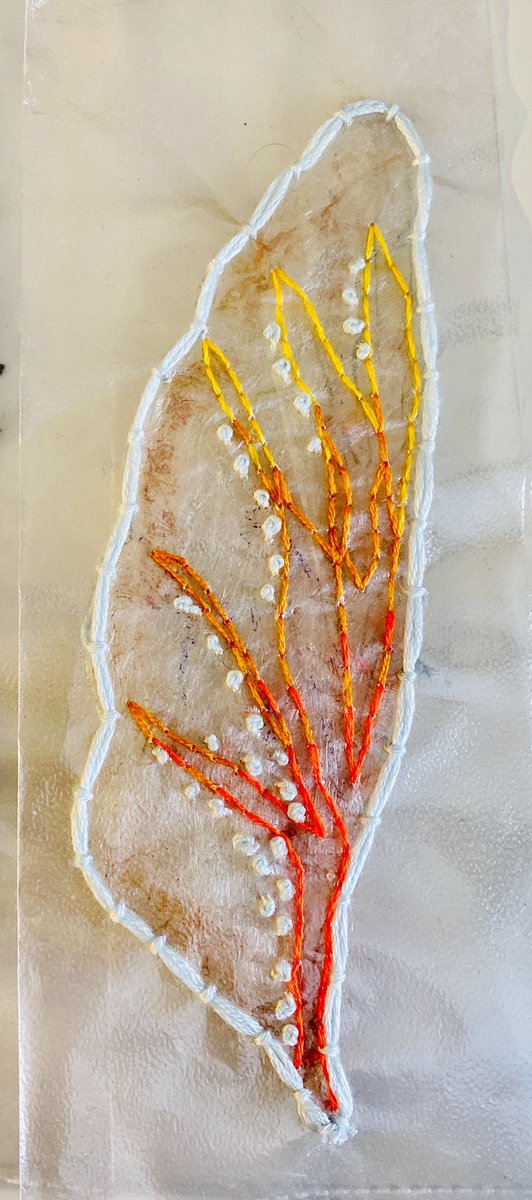 BennettTextiles tweet media