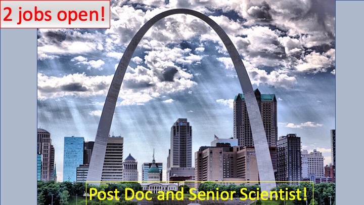 DiPersioLab's tweet photo. We have 2 #jobs open now! Great opportunity for those with #CARTcell #CRISPR experience. Go to https://t.co/lFak269ERI job 50496 (Post Doc) and 50466 (Sr. Scientist)!
#postdocjobs #hememalignancy #jobsearch #StLouis @wustlmed https://t.co/keqUkS8Nq8
