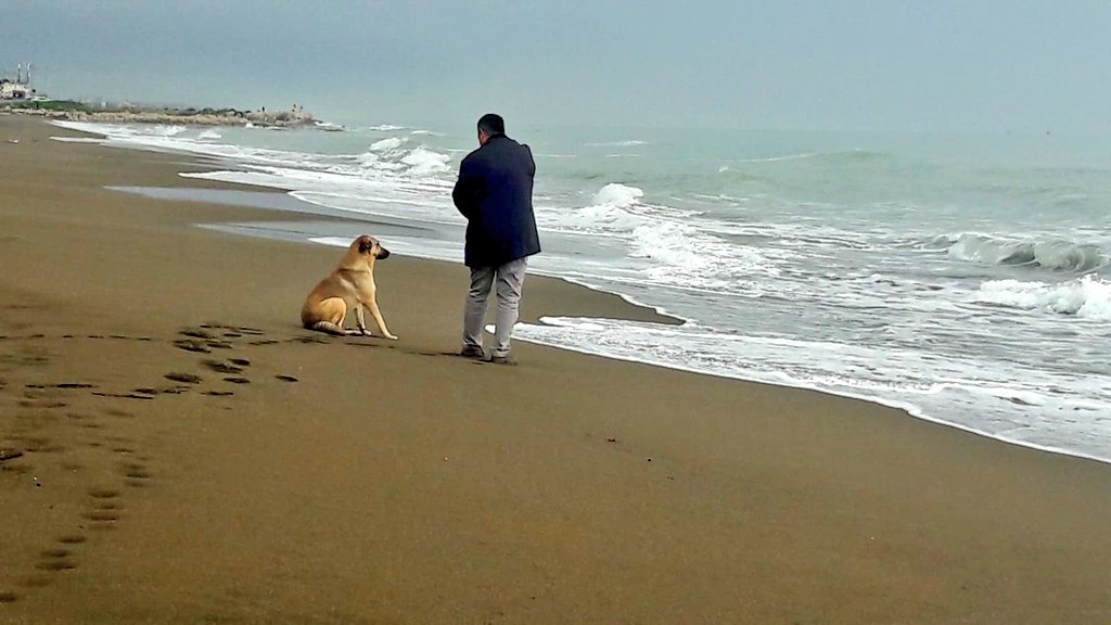 Küçük şeylerde seni mutlu etmeli ama sen daha iyisi için çalışmalısın.
#hatay #çevliksahili