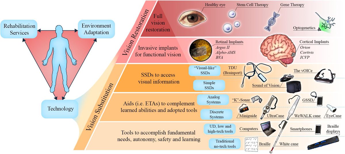 Brain-machine interfaces to assist the blind frontiersin.org/articles/10.33… #BMI #BCI