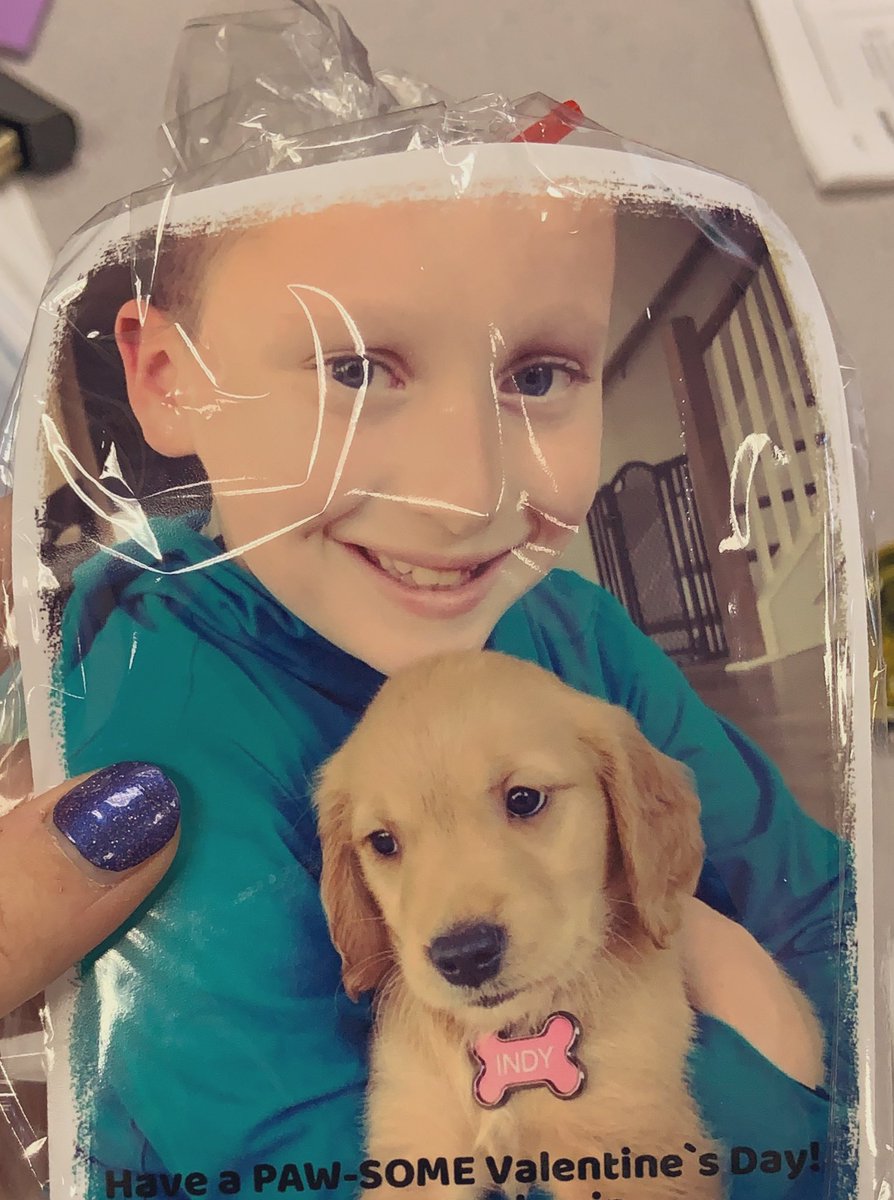 SCEMissEllis's tweet photo. How cute is this Valentine?! 🐶 #creeklife https://t.co/d7ZGxqvY9P