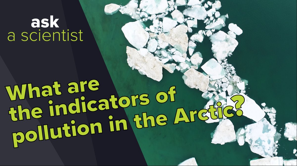 We launched a new #AskAScientist episode! What are the clues that indicate pollution exists in the Arctic?

Watch our video with Dr. Magali Houde to find out: ow.ly/IbFh50Dzb2s 
#CdnSci #Science