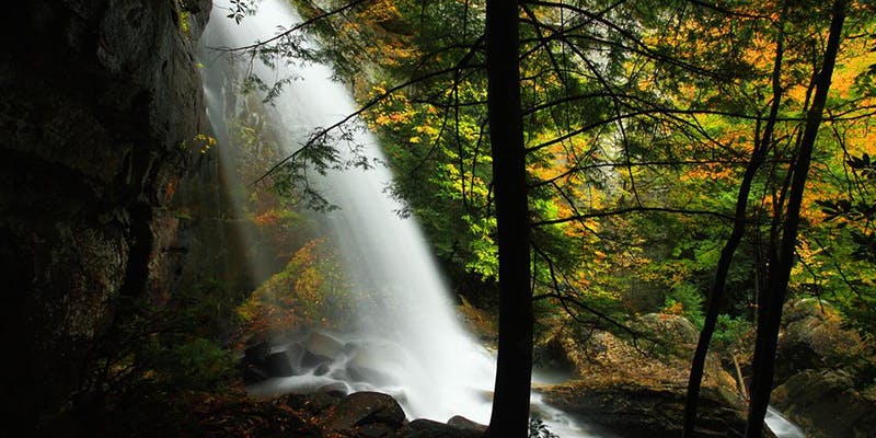 LetcherTourism's tweet photo. If you know anyone that is coming to visit the area send them to our tourism website. It has all kinds of great information like great places to stay, eat, and play in Eastern Kentucky.

https://t.co/bPQ2GQrKep
 
#discoverletcher #easternkyproud #myhometown #beautifuldestinations https://t.co/rcJZDDHoOZ