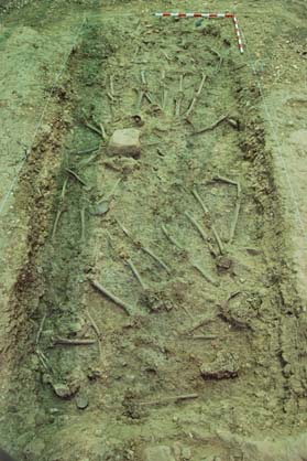 LMENCINAR's tweet photo. Generalmente cuando pensamos en una fosa común imaginamos un depósito rectangular con cuerpos en conexión anatómica y en un área abierta, pero no siempre es así. Aquí os lo cuento: https://t.co/f42M7x5MpN