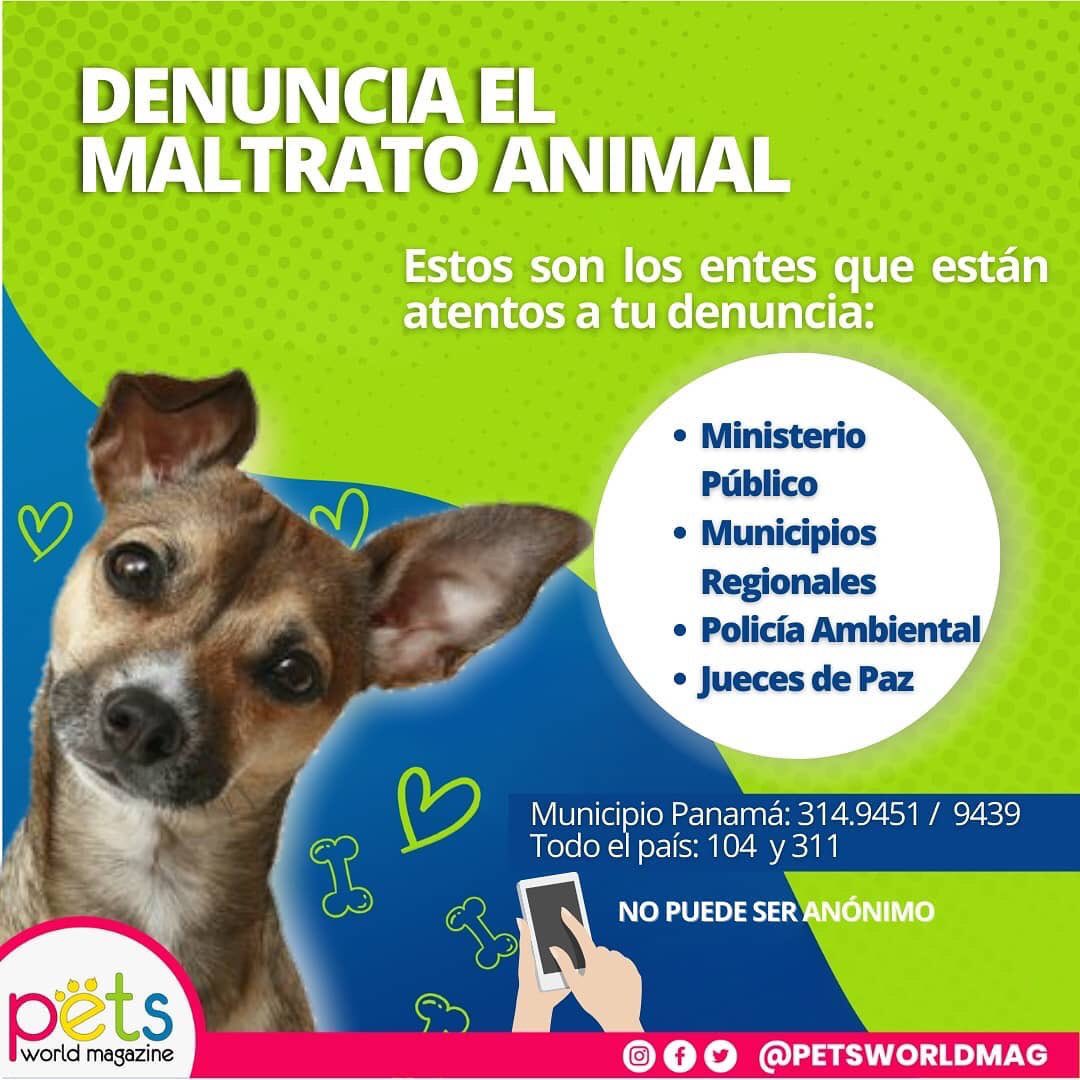 PetsWorldMag's tweet photo. Nunca seas el motivo por el que un animal tiemble, llore de dolor o pierda su vida.💔

Tampoco seas indiferente ¡DENUNCIA!⚖👨‍⚖️ #sinmiedoadenunciar

#NoAlMalTratoAnimal #petsworldmagazine #panama #ciudaddepanama #mascotaspanama #perrospanama #gatospanama #maltratoanimal https://t.co/rRTM8EhCrt
