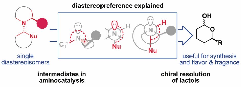 J Org Chem/Org Lett (@joc_ol) on Twitter photo The <a href="/BuresGroup/">BuresGroup</a> has used the understanding of the diastereopreference of intermediates in aminocatalytic reactions to resolve chiral lactols. Check it out in #JOC: pubs.acs.org/doi/10.1021/ac… <a href="/JOC_OL/">J Org Chem/Org Lett</a> The <a href="/BuresGroup/">BuresGroup</a> has used the understanding of the diastereopreference of intermediates in aminocatalytic reactions to resolve chiral lactols. Check it out in #JOC: pubs.acs.org/doi/10.1021/ac… <a href="/JOC_OL/">J Org Chem/Org Lett</a>