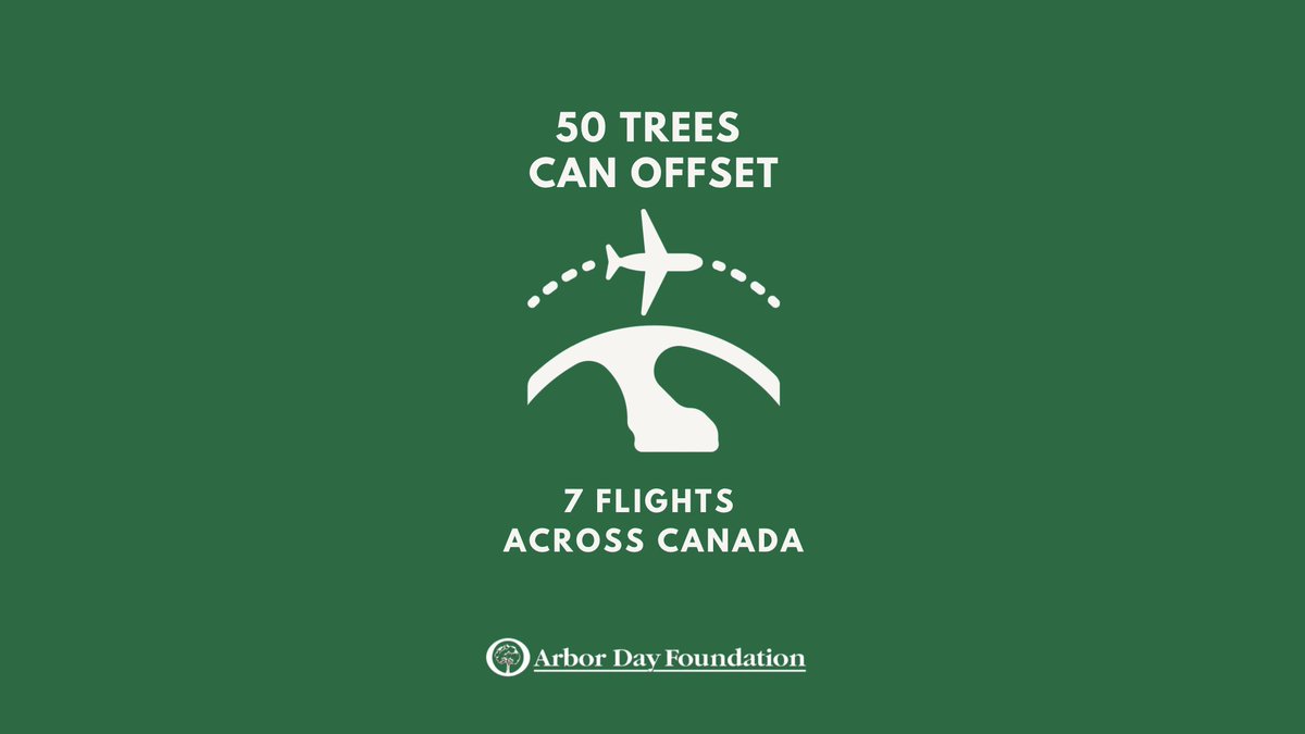 arborday's tweet image. #TreeFactFriday Just 50 trees can offset 7 flights across Canada. That&apos;s wild. Just imagine what thousands of more trees can do. The #TimeForTrees is NOW. 💪🌳👏 
RT to spread the word.