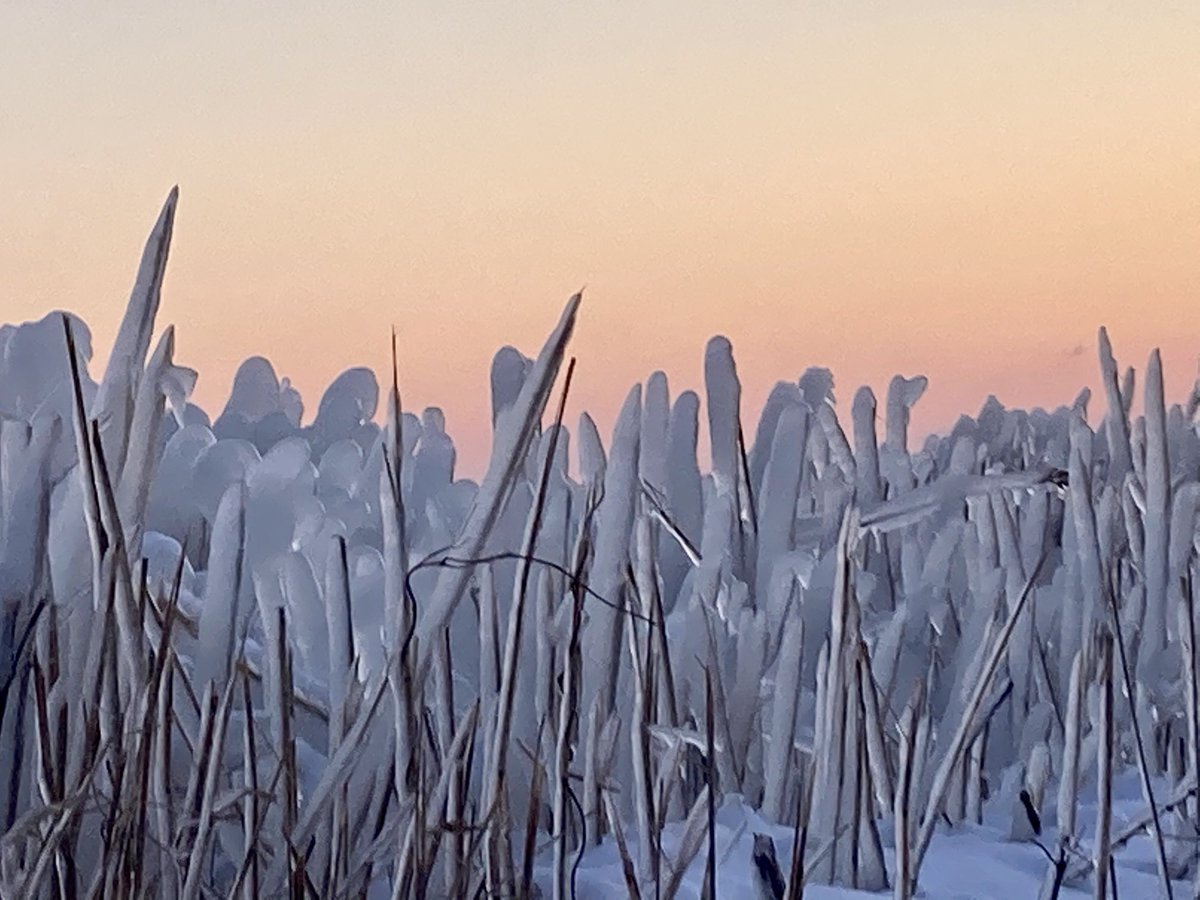 Vanmiddag op de terugweg⁩ even gestopt langs de Knardijk: het Wolderwijd tussen ⁦⁦<a href="/GemeenteErmelo/">Gemeente Ermelo</a>⁩, ⁦<a href="/gemharderwijk/">Gemeente Harderwijk</a>⁩ en ⁦⁦<a href="/gemzeewolde/">Gemeente Zeewolde</a>⁩