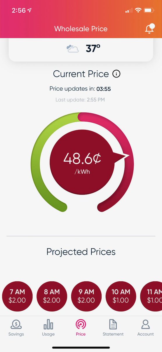 Griddy projected prices