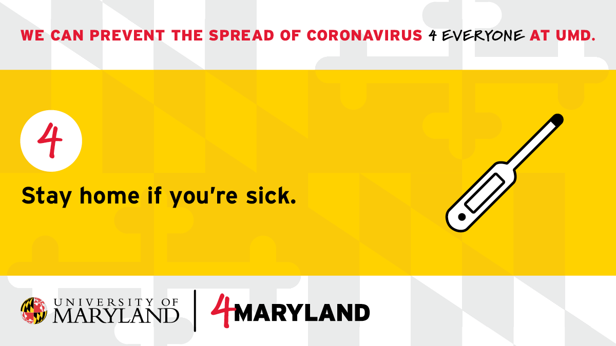 UofMaryland's tweet image. If you feel sick, stay home. Do not report to work or class. If you have tested positive, think you have symptoms of COVID-19, or have been exposed to COVID-19, contact the UMD HEAL line: (301) 405-HEAL #4Maryland umd.edu/4Maryland
