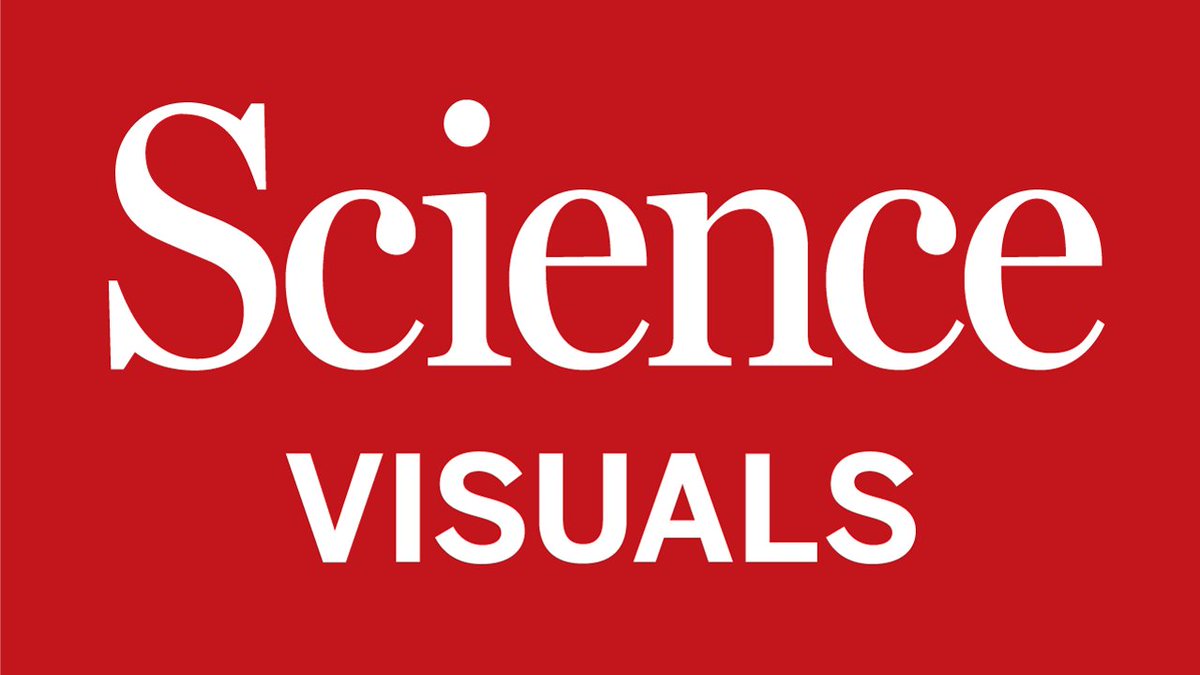 We're hiring! Come join the award-winning <a href="/ScienceVisuals/">Science Visuals</a> team as our new Scientific illustrator! bit.ly/scientificillu…
