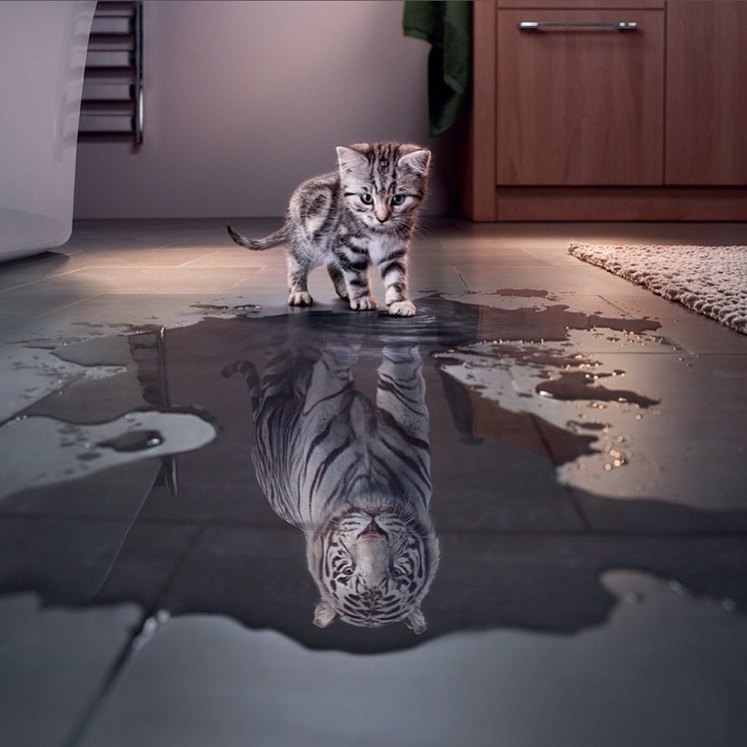heavenofanimal's tweet photo. https://t.co/q1OV4E1Jgd