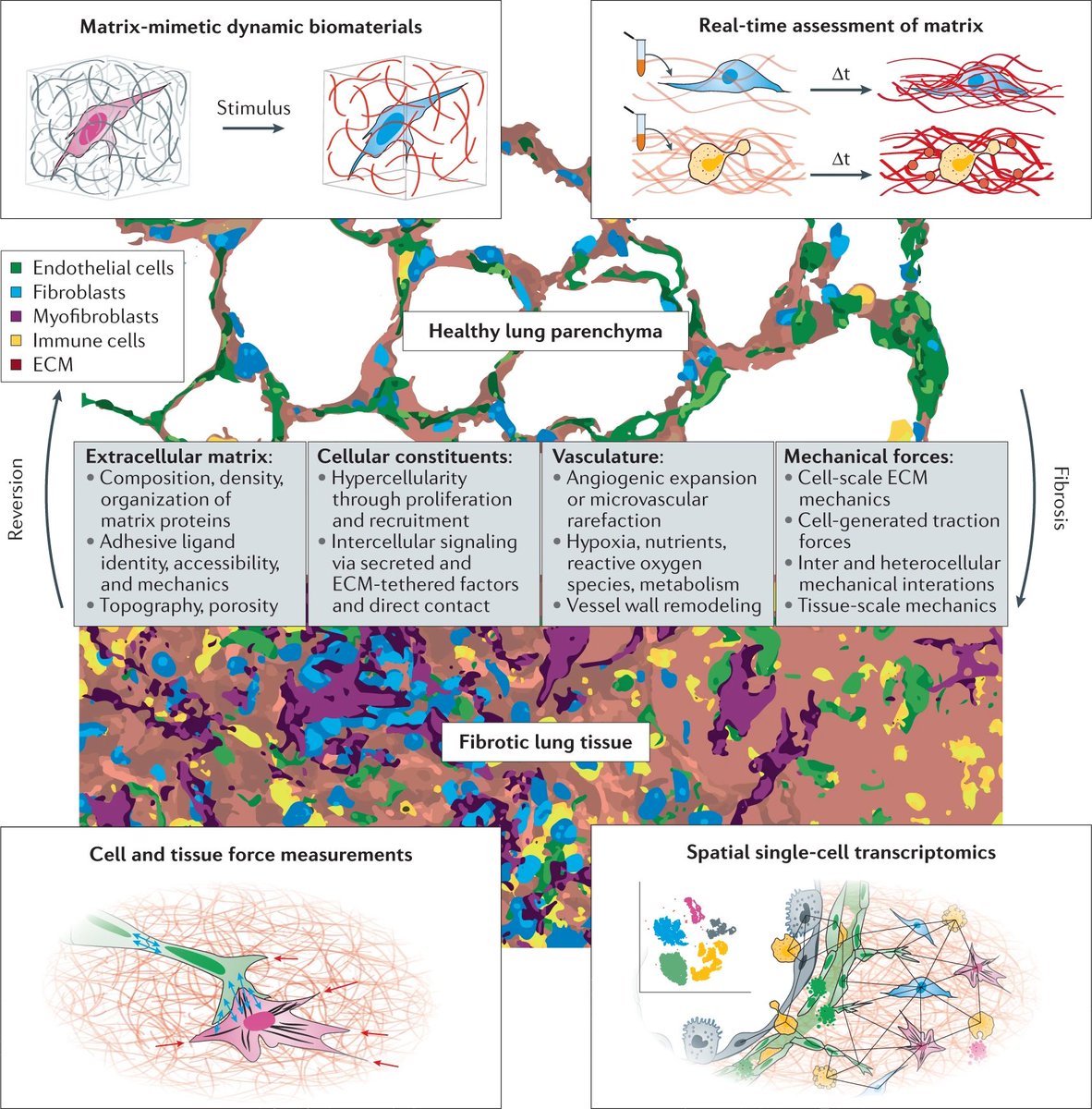 Dan Matera, PhD tweet media