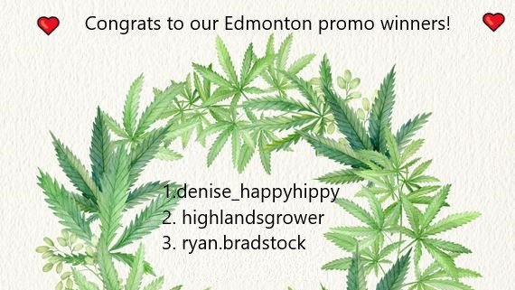Thanks <a href="/YEG/">#yeg</a> for all your support for our Valentine's day promo! #34streetseedco #anccannabis #cannabisseeds #canadiancannabiscommunity #YegGrowers