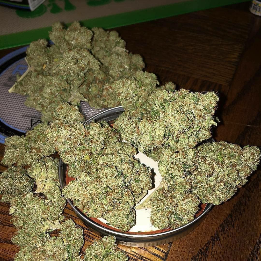 Weeddyng20211's tweet photo. Dispo dans👇
Télégram :https://t.co/SGkzDxkjZj
Snap//weeddyng
#FranceVerte #Cannabis #StopProhibition #Legalisation #EnMarcheVersLaRégulation
#FranceVerte #lyon #lille #lorient #shit #paris15 #levallois #nice #nanterre #clermont #beuh #haze #weed #proverbe #Aix #Qimper #Legalize https://t.co/jLFtFHZ7J7