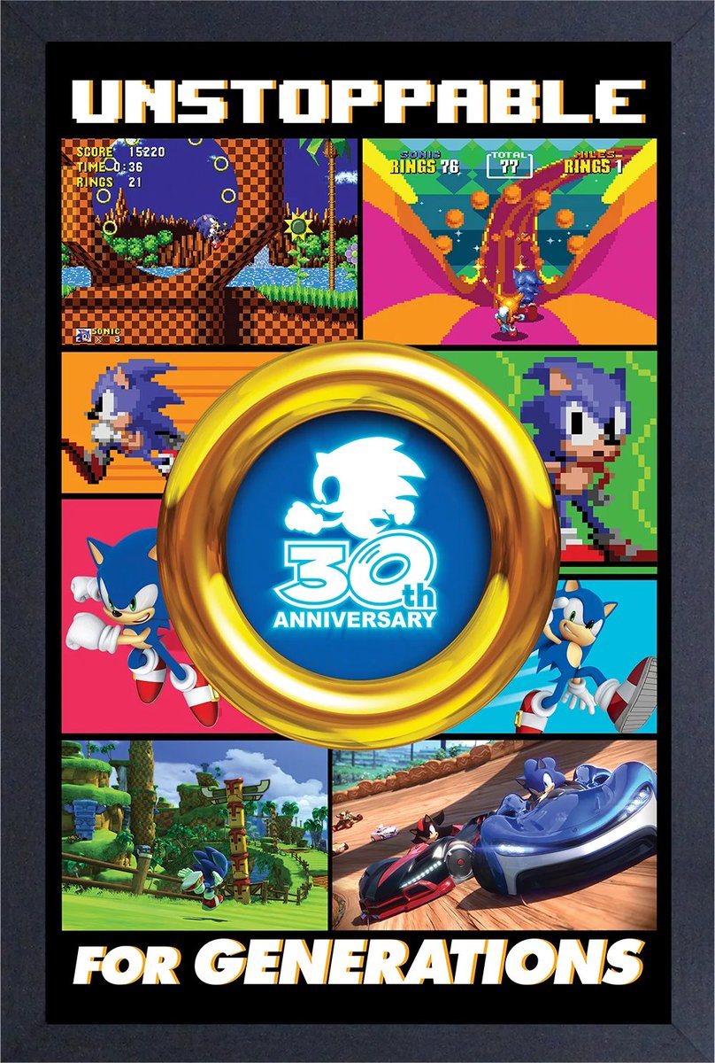 Sonic 30 Anos!