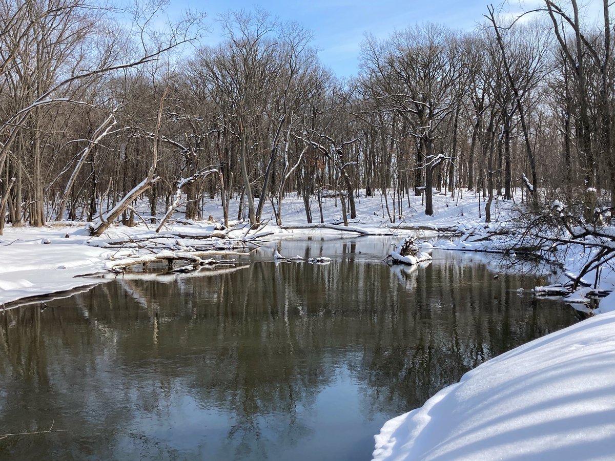 il_outdoors's tweet photo. Postcard views while hiking along the Des Plaines River at the Independence Grove Dog Exercise Area. #lcfpd #hiking #river #hikeillinois #winter https://t.co/RVXEgo0xR6