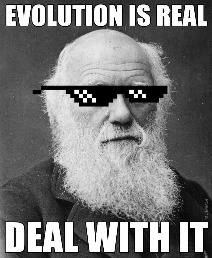 BetterThanHuma1's tweet image. Happy Darwin Day everyone! #DarwinDay #evolutionisreal