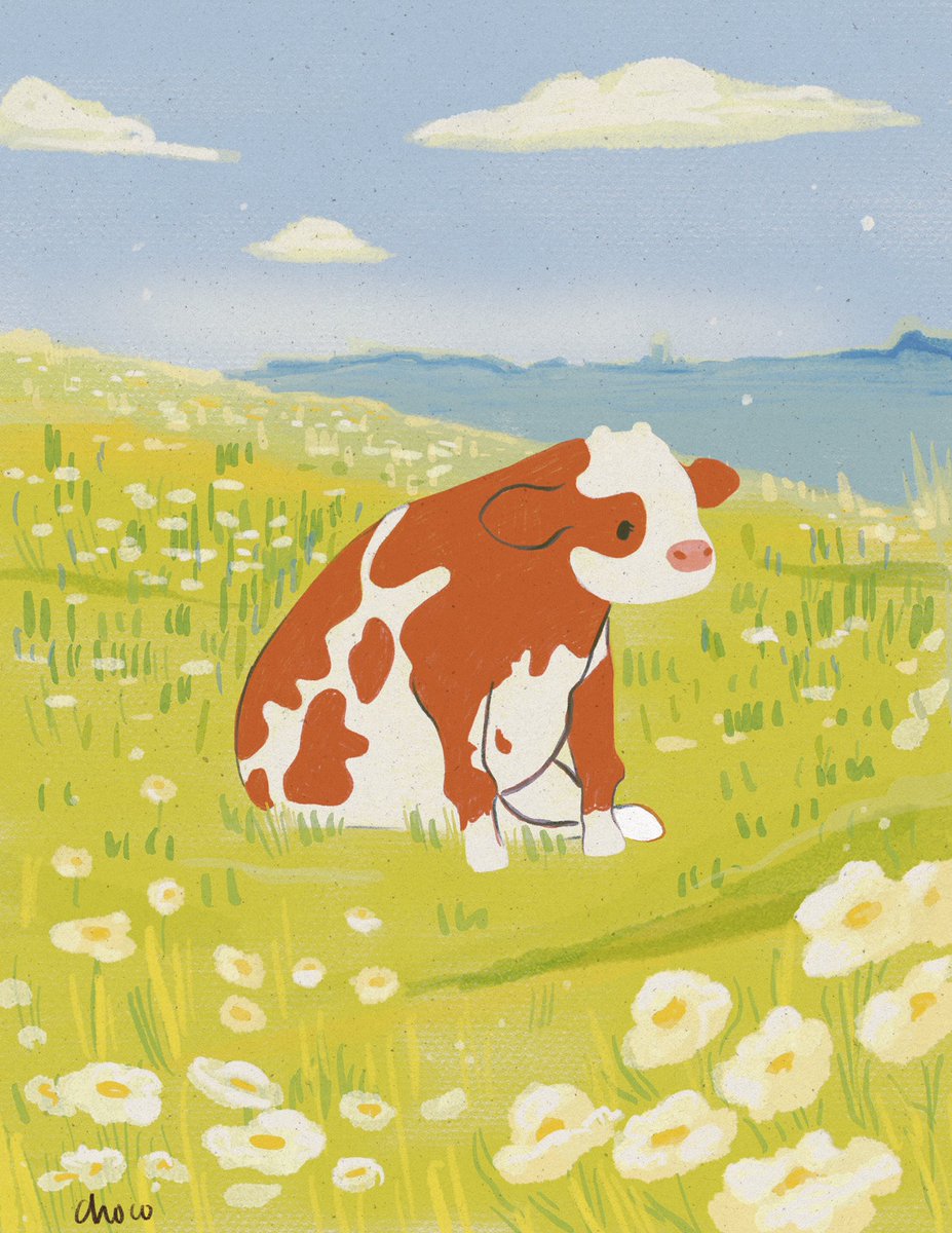 chocolettchoo's tweet image. Sitting Cow 🐮