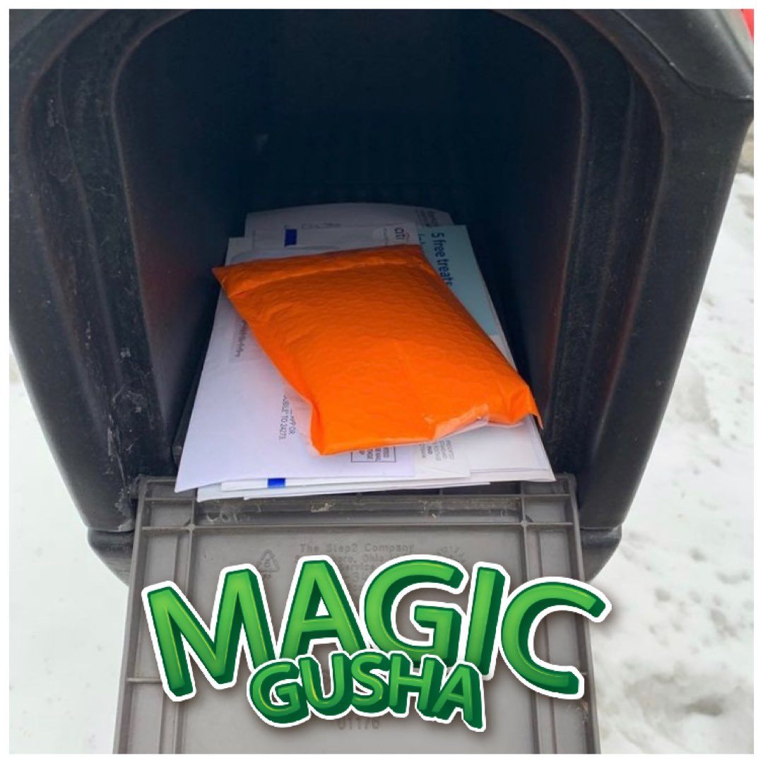 GushaMagic's tweet image. Sample delivered! Ask for a sample. Dm! #magicgusha #gushagummies #cannabisculture #CannabisCommunity #cannabisindustry #hightimes #highsociety