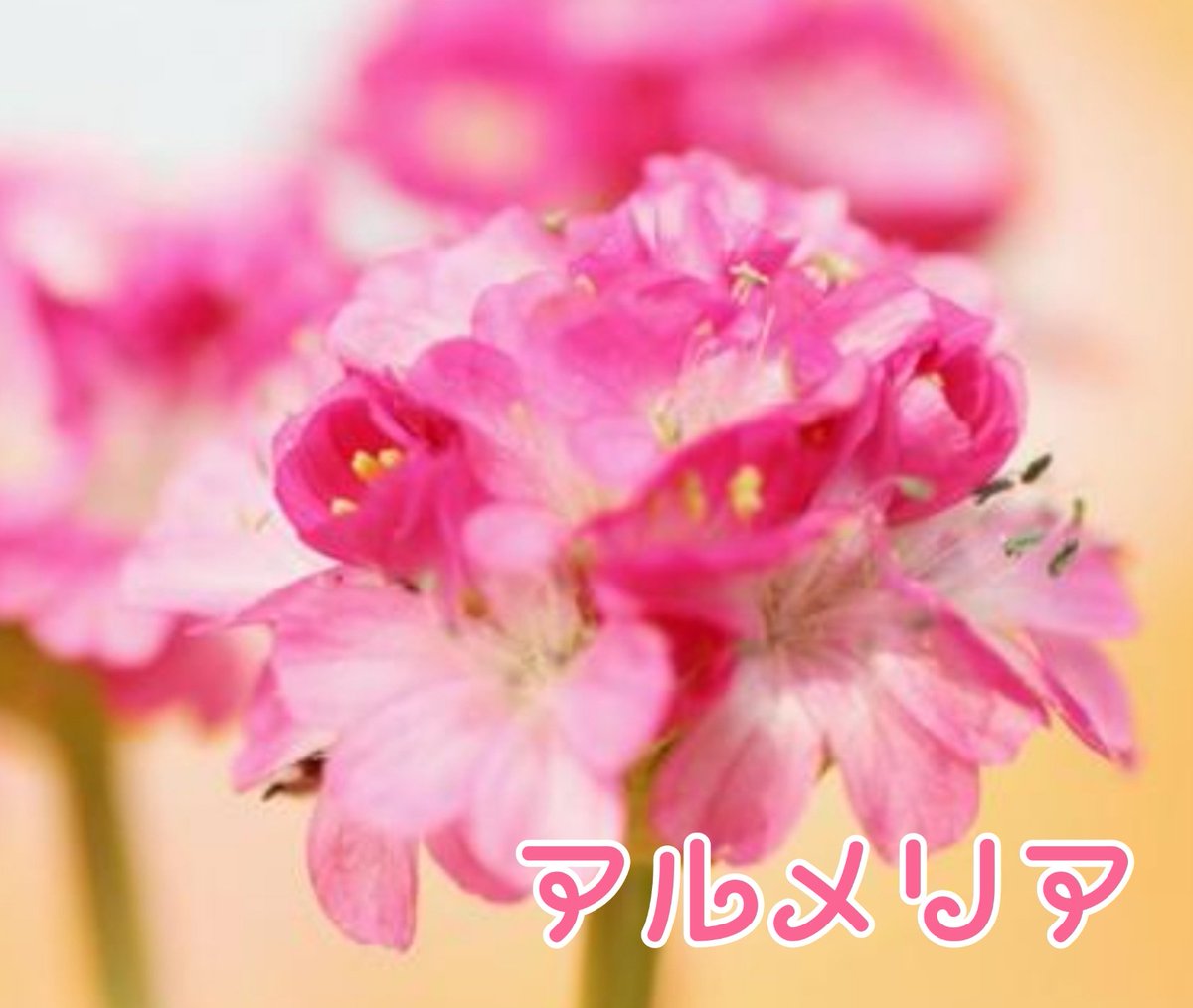 Qu Mk Mknqtj6m Qu Mk Mknqtj6m
