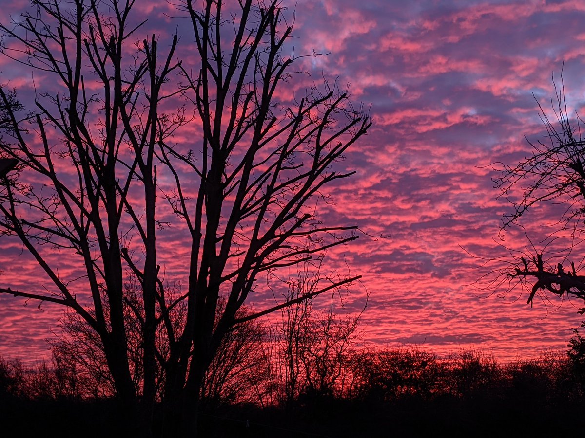 KjarWellbeing's tweet photo. Taking time to stop, notice and appreciate an amazing sky this morning  #supportingwellbeing #natureatitsbest https://t.co/dPqmHvIXLU
