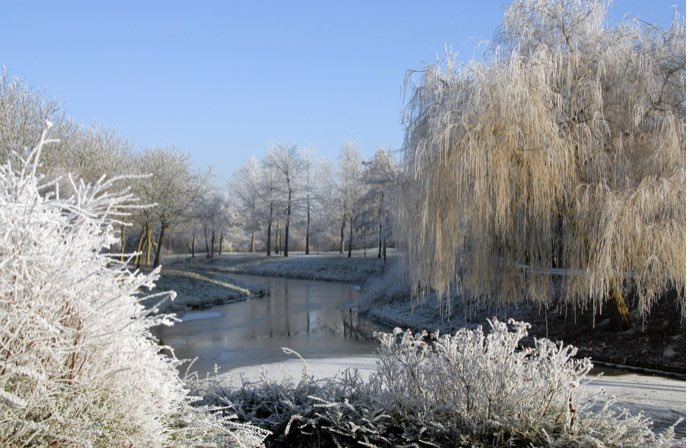 Mariken Leurs 🙏🏽 tweet media