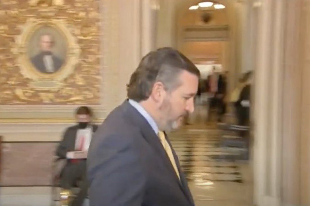 стрижка 20 января 2024