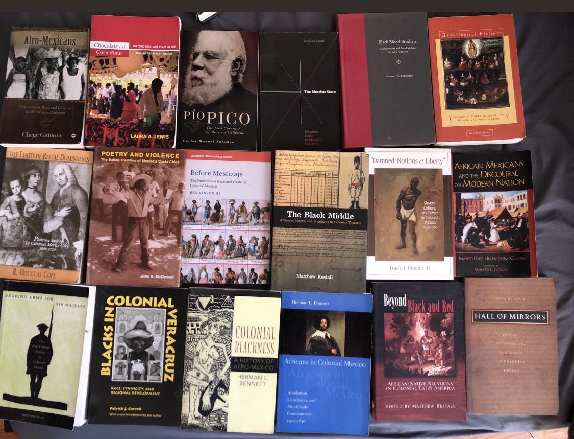 Some more works on Afro-Mexico in English.
