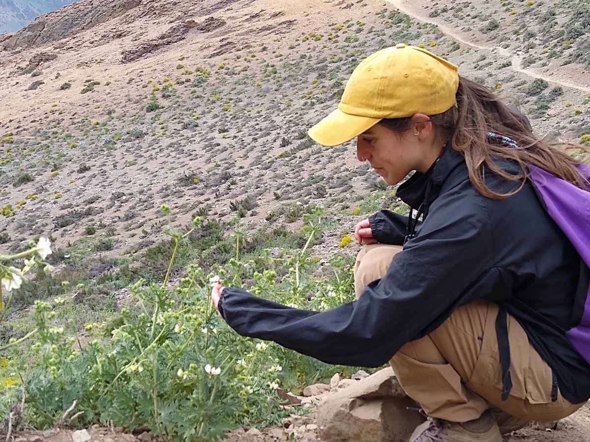 <a href="/rocioalmuna/">Rocío Almuna</a> 🇨🇱 "Como mujer e investigadora me moviliza transformar la forma de hacer ciencia; día a día tomo el ejemplo de mis compañeras científicas, indagadoras de los secretos que guarda la tierra, y a quienes considero fuente de apoyo, sabiduría y experiencia."
<a href="/sosoet_chile/">Sociedad Chilena de Socioecología y Etnoecología</a>