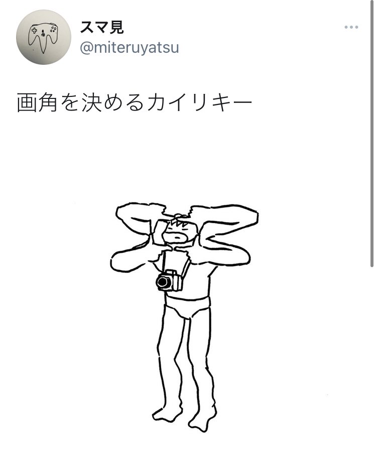 他にもこんなカイリキー関連のツイートしてました、僕はカイリキーが好きなのかもしれない 