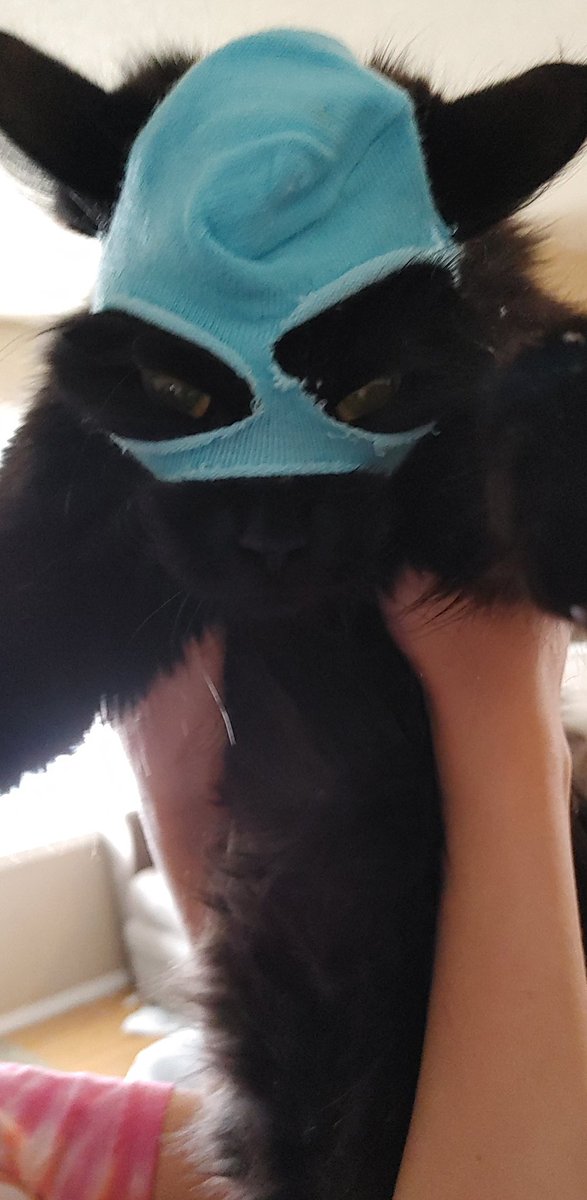 BrandyLea tweet media