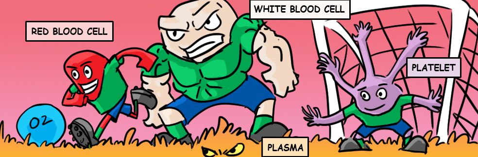 RocketLit tweet media