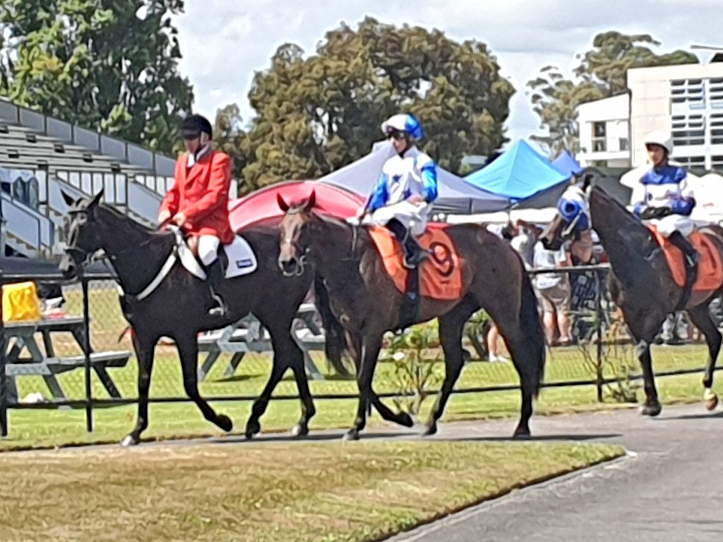 Little Belle <a href="/McnabMjmcnab/">Michael Mcnab</a> for the Wallace/Cooksley team takes out the opening race on Herbie Dyke Day