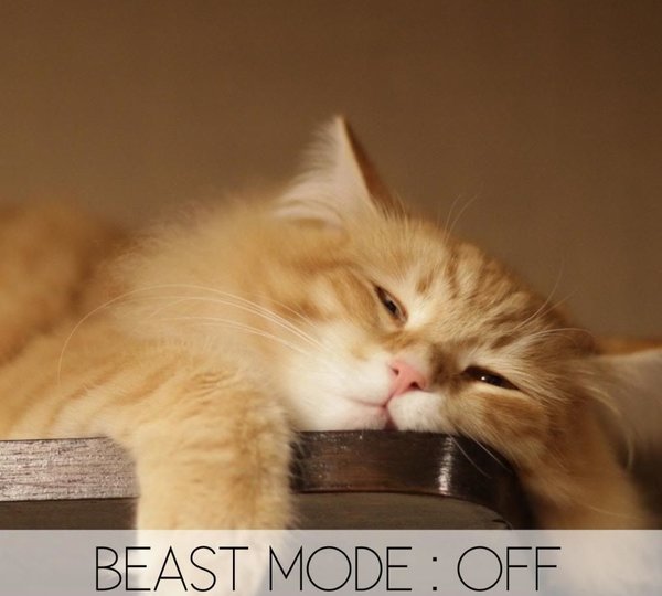 PoshHausRealtor's tweet photo. TGIF
Wishing everyone an amazing long weekend and Happy Valentines' Day
#barrosocustomhomes #Toronto #longweekend #FamilyDay #HappyValentinesDay #beastmodeoff #TGIF #torontorealtors #weekendvides https://t.co/aE6c8tkr51