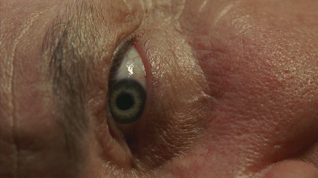 "Only twenty minutes to sleep but you dream of some epiphany; just one single glimpse of relief to make some sense of what you've seen" - Taylor Swift