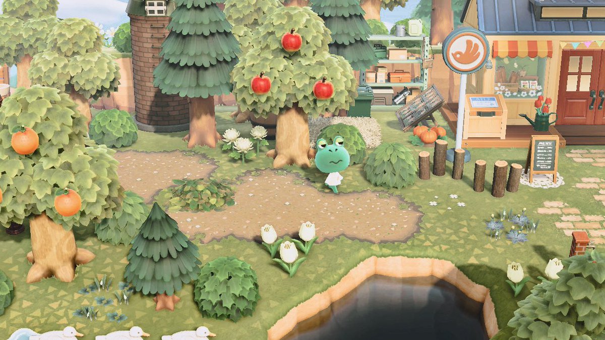 おはようございます🍃半目のタンボくん〜🐸