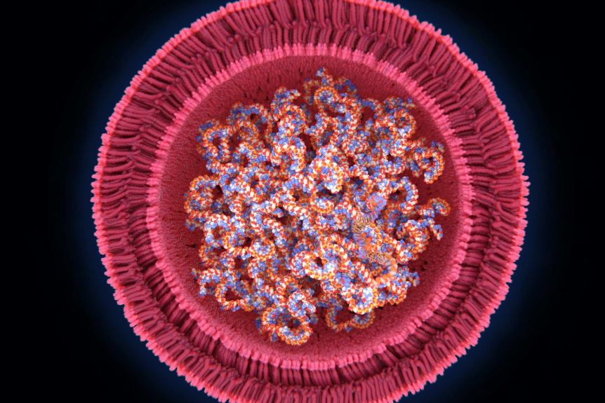 Monash University (@monashuni) on Twitter photo Australia has the scientific base, technical experience, and infrastructure to make a mRNA vaccine against coronavirus, says <a href="/MonashPharm/">Monash Pharmacy & Pharmaceutical Sciences</a>'s <a href="/ColinPouton/">Colin Pouton</a>. So why aren't we using them? ๐ฆ๐บ
mona.sh/aaxq30rwqo8 Australia has the scientific base, technical experience, and infrastructure to make a mRNA vaccine against coronavirus, says <a href="/MonashPharm/">Monash Pharmacy & Pharmaceutical Sciences</a>'s <a href="/ColinPouton/">Colin Pouton</a>. So why aren't we using them? ๐ฆ๐บ
mona.sh/aaxq30rwqo8