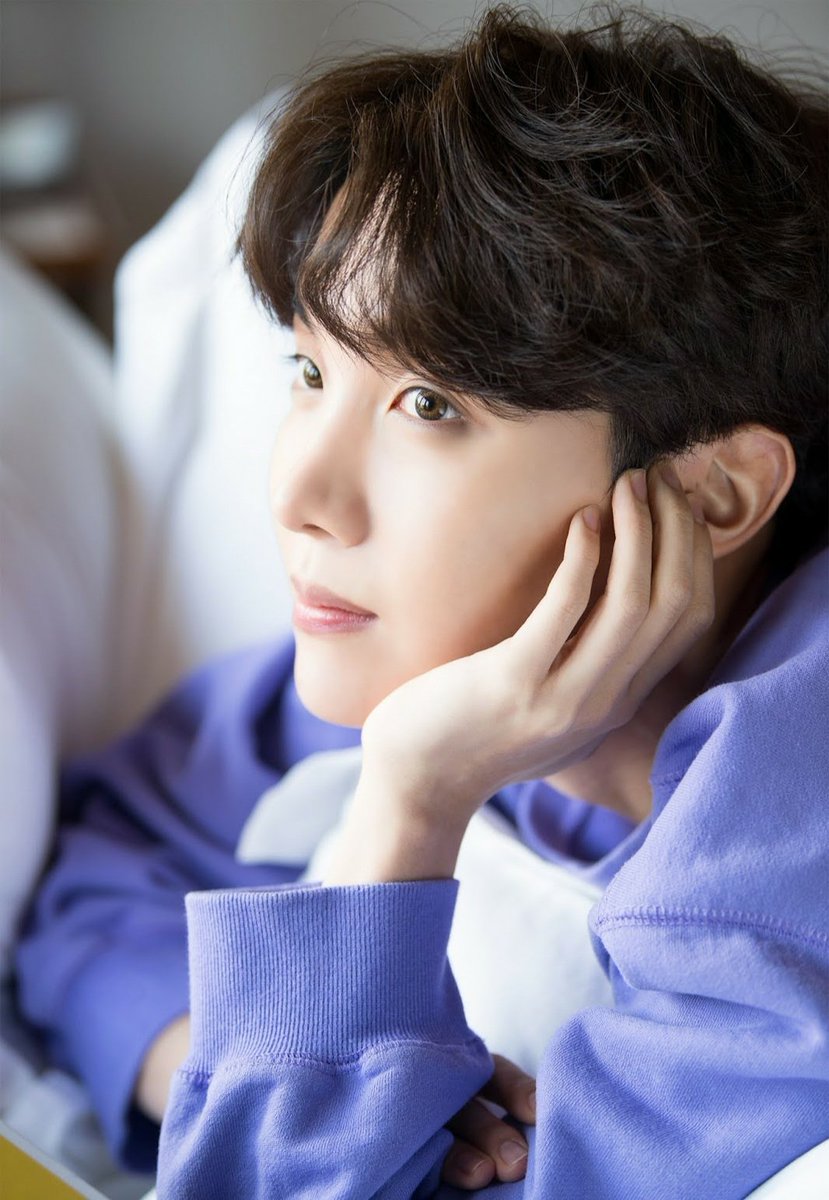 Hobi as Iris: Iris symbolizes hope, cherished friendship and valor! It is the inspiration for the fleur-de-lis which symbolizes the royal family of France! So I thought it matches Hobi perfectly (Huh! I knew ya'll think I'd pick Sunflower!)!   #BTSARMY  @BTS_twt