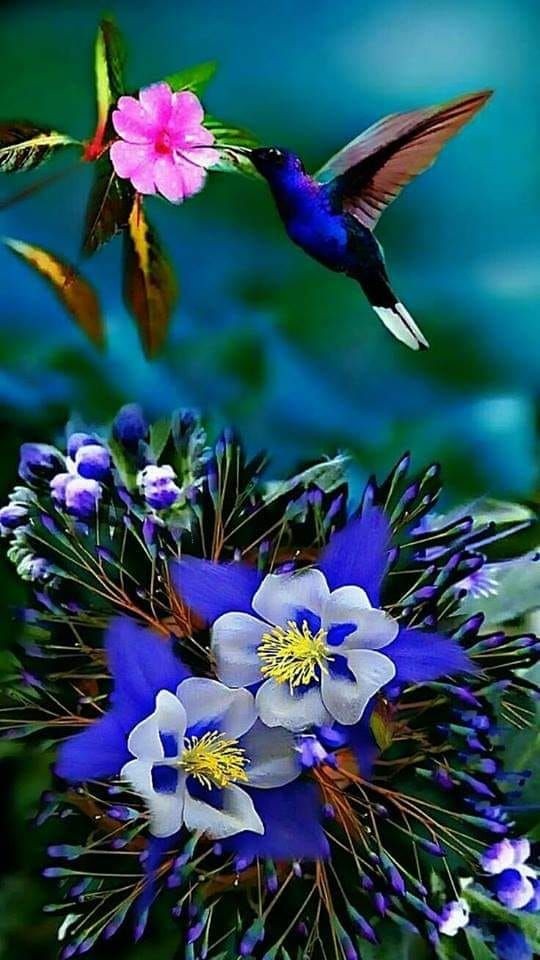 motivated_life1's tweet photo. See The Beauty In Life.
      Don't Rush Through It.
Add To The Beauty In #Life.
      Share What You See.
Appreciate The #Beauty In Life.
      Protect Its Natural Space.
         #Nature Says Thank You. https://t.co/8wdRgxx2y0