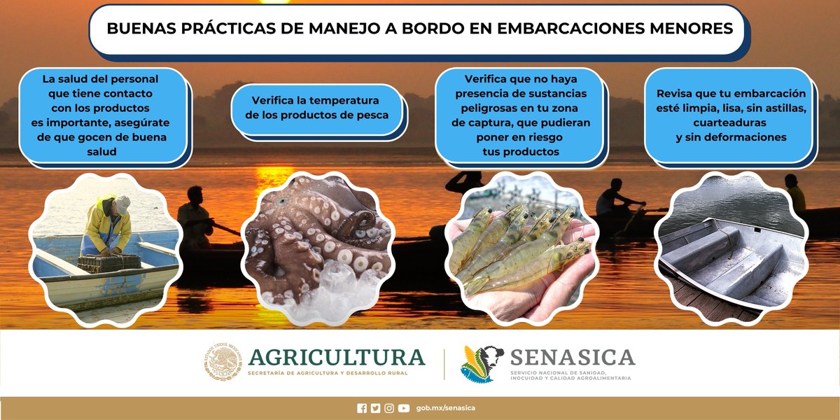 SENASICA's tweet photo. Toma lista de las buenas prácticas de manejo a bordo en embarcaciones menores 🗒✏ https://t.co/pUKu0G0FLa