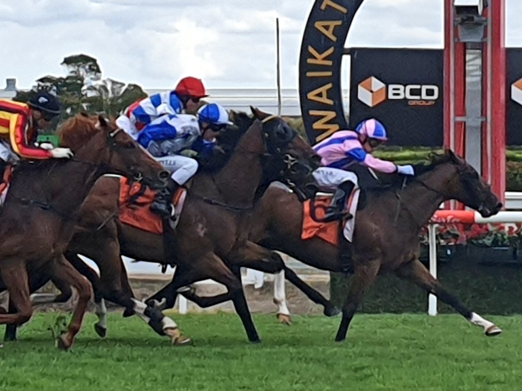 Double for <a href="/McnabMjmcnab/">Michael Mcnab</a> getting Arlington Gold a short margin winner in the R74 2100. The Tony Pike <a href="/PikeRacing/">Pike Racing</a> gelding third win from seven.